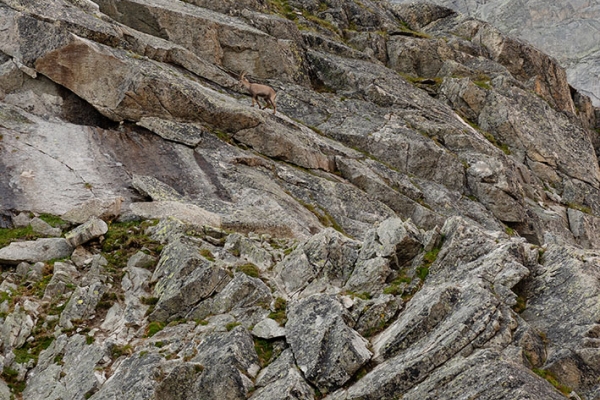 Tout là-haut vers la Gelmerhütte