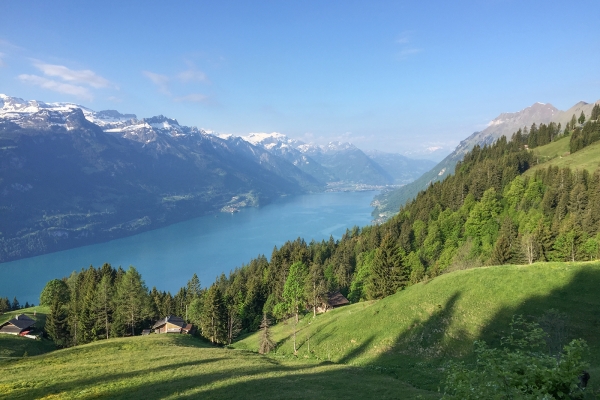 En surplomb du lac de Brienz