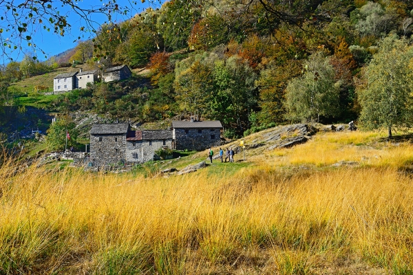 Forêt automnale à Lodano