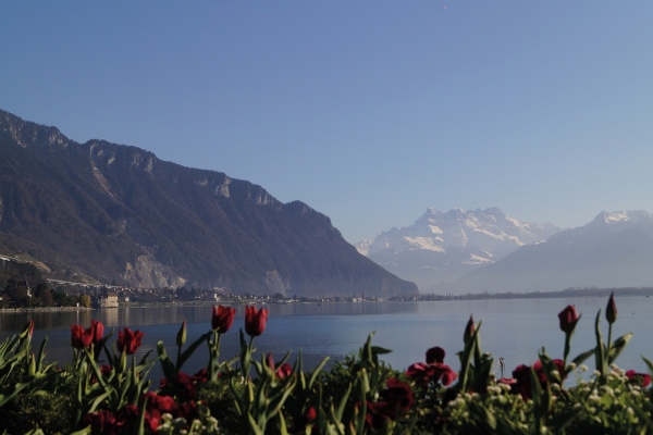 Randonnée urbaine à Montreux