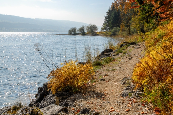 Sur les rives du lac de Joux