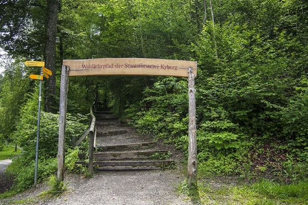 Dalla città attraverso la foresta fino a Kyburg