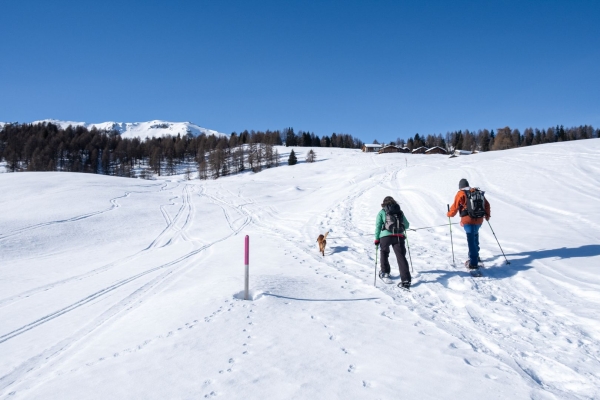 Schneeschuhtrail oberhalb von Salouf