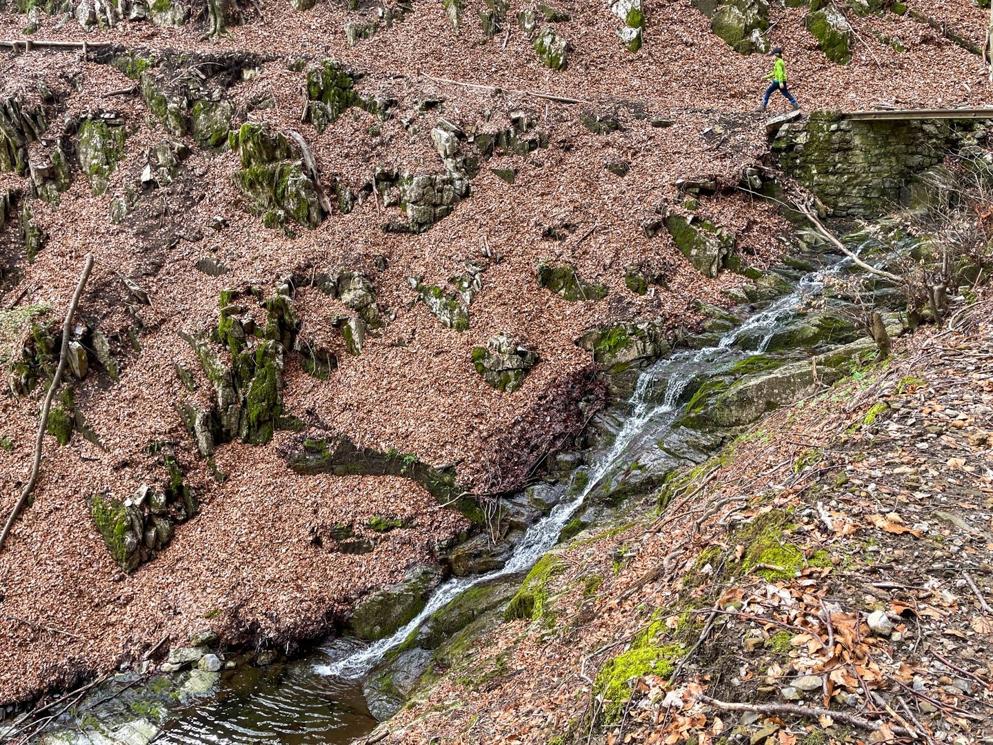 Le chemin enjambe le ruisseau et se poursuit.