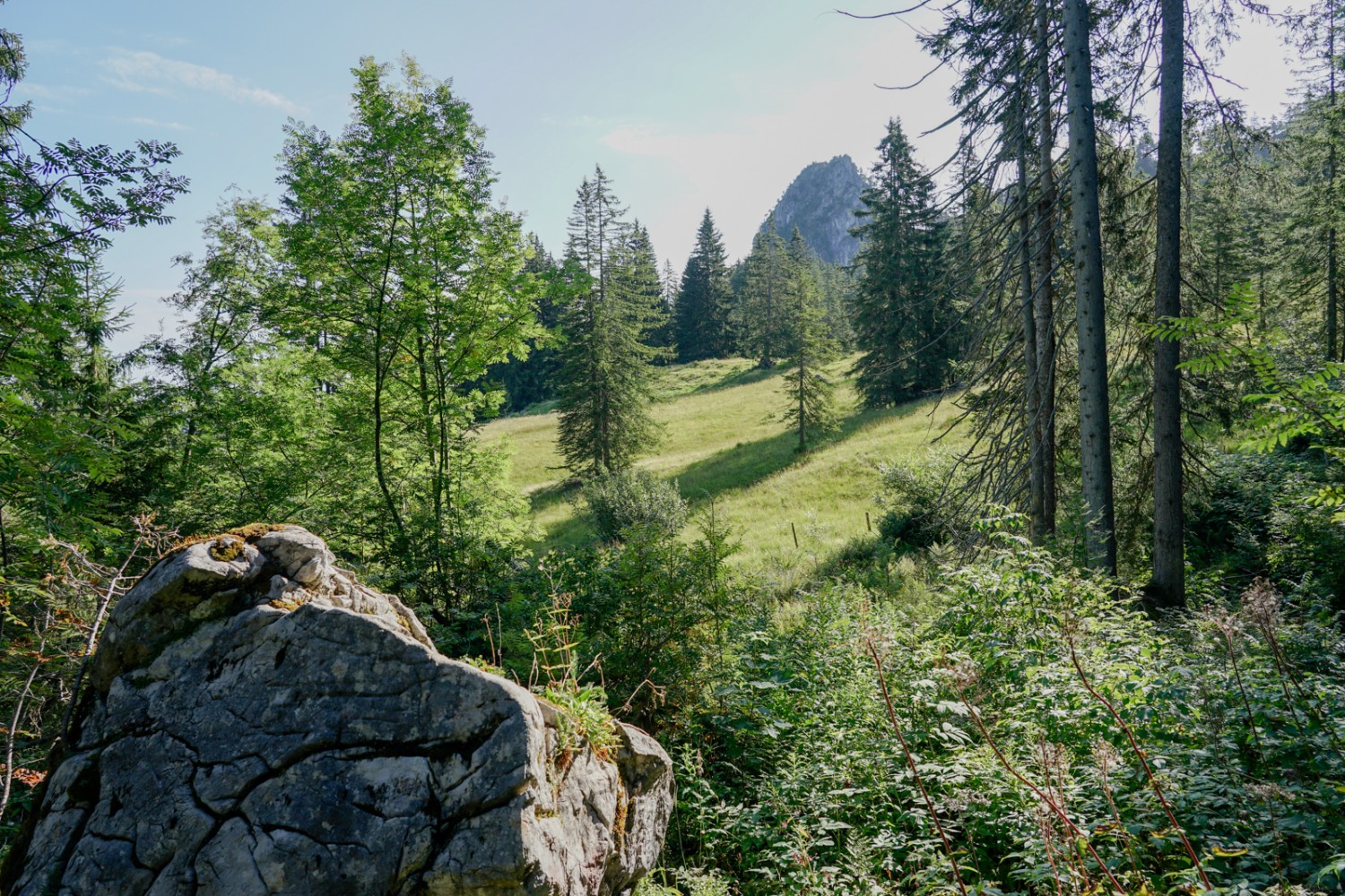 Die Felspyramide des Gross Schijen zeigt sich am Horizont. Bild: Reto Wissmann