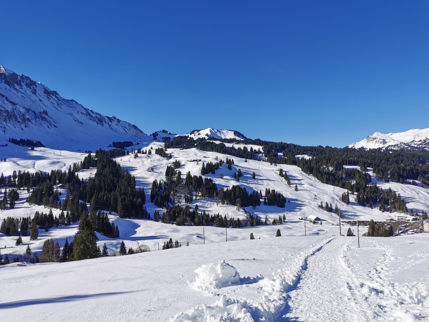 Oberhalb Flüehütten. Bild: Andreas Staeger