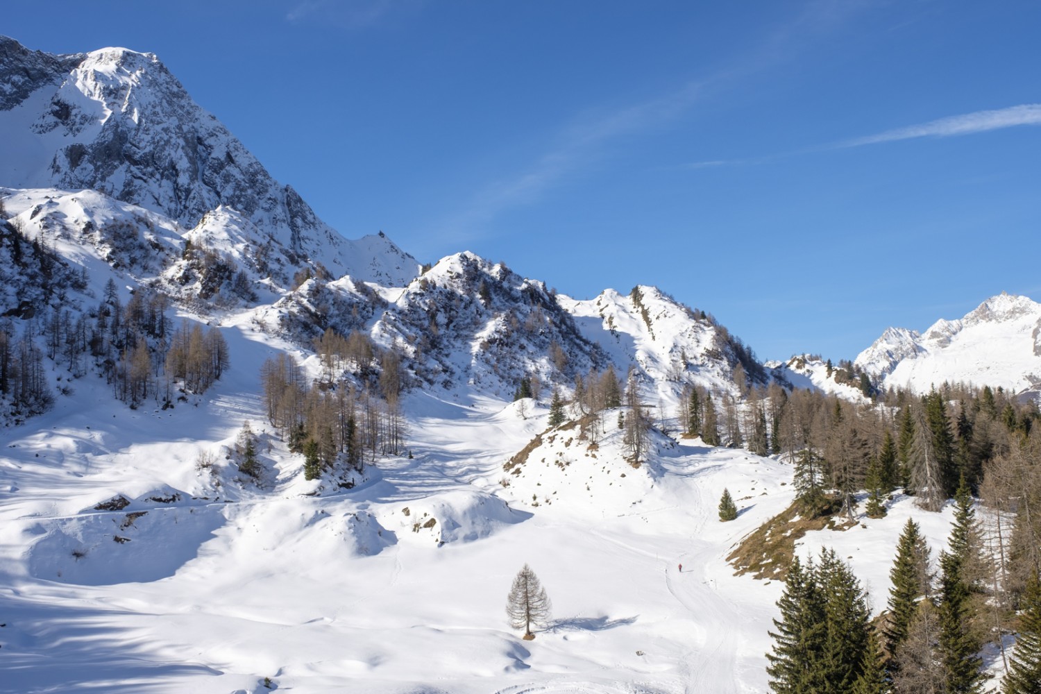 Der Winterwanderweg schlängelt sich durch das kupierte Gelände von Pesciüm. Bild: Iris Kürschner