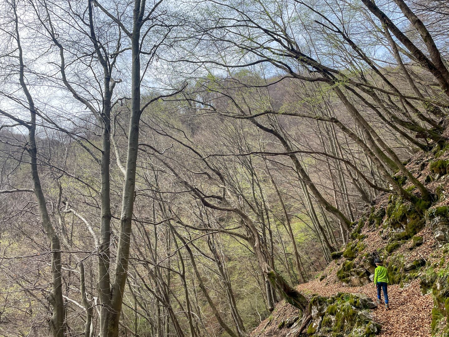 Le long des versants de la Valle dei Pascoli.