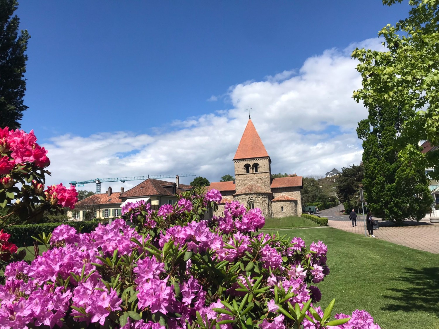 Randonnée au bord du lac Léman