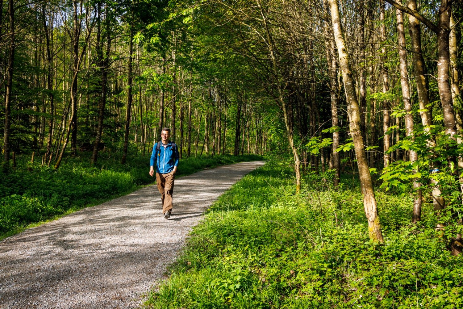 Une promenade dans la forêt mène à la carrière d’Ostermundigen.