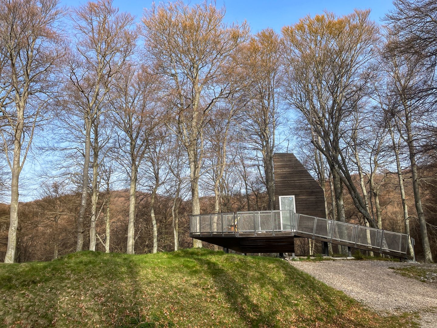 La «tiny house» Momò Bellavista offre une vue dégagée sur les étoiles.