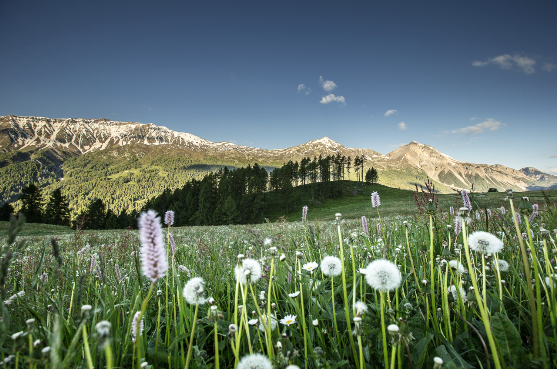 @Graubünden Ferien / Andrea Badrutt